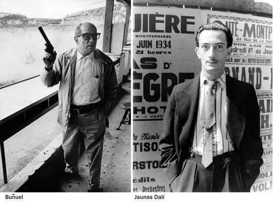 一条安达鲁狗剧照的剧照