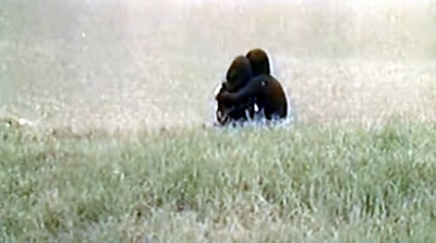 在水一方剧照的剧照