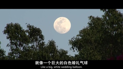 我唾弃你的坟墓：似曾相识剧照的剧照