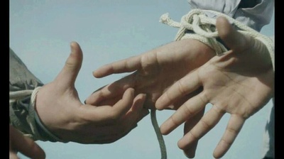 翅膀剧照的剧照