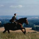 曼斯菲尔德庄园剧照