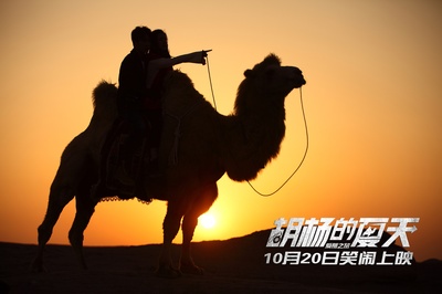 胡杨的夏天剧照的剧照