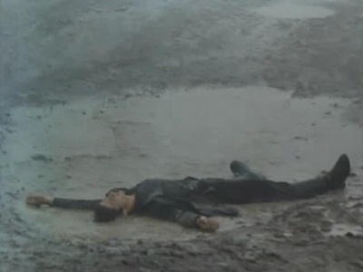 愿望树剧照的剧照