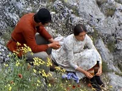 愿望树剧照的剧照