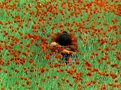 愿望树剧照的剧照