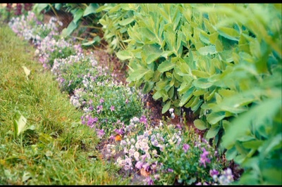 兔子洞剧照的剧照