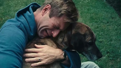 兔子洞剧照的剧照