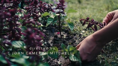 兔子洞剧照的剧照