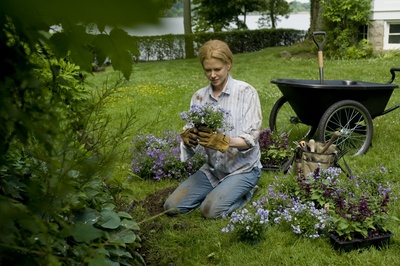 兔子洞剧照的剧照