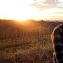 我生命中的电影剧照