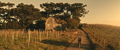 我生命中的电影剧照的剧照