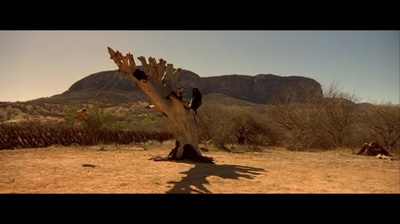 太阳背后剧照的剧照