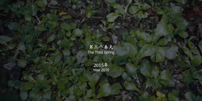 四个春天剧照的剧照