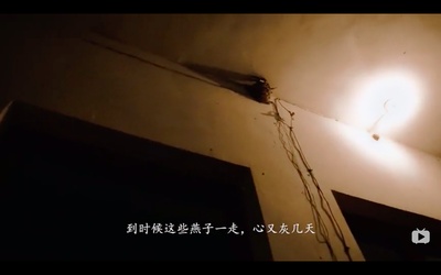 四个春天剧照的剧照