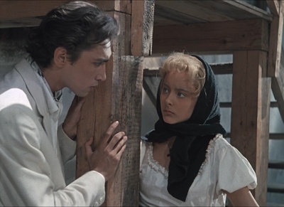 两栖人剧照的剧照