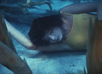 两栖人剧照的剧照