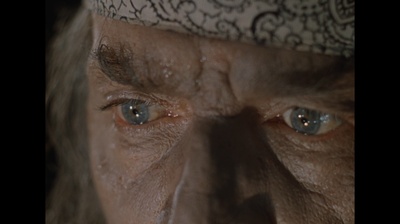 两栖人剧照的剧照