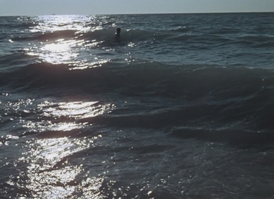 两栖人剧照的剧照