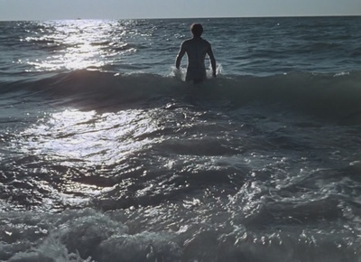 两栖人剧照的剧照