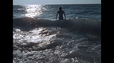 两栖人剧照的剧照