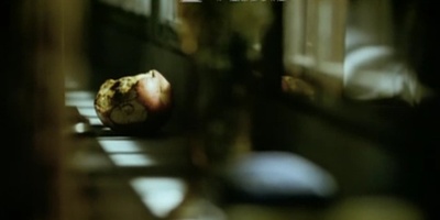 一个陌生女人的来信剧照的剧照