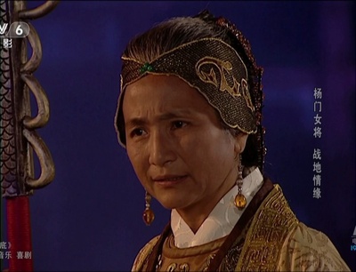 杨门女将之战地情缘剧照的剧照