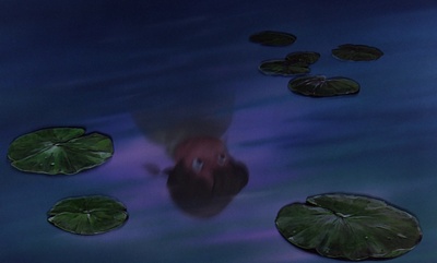 救难小英雄剧照的剧照