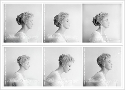 游龙戏凤剧照的剧照