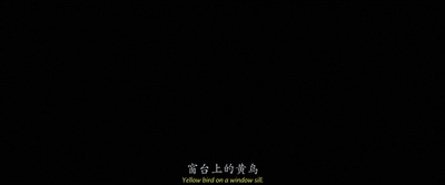 黄鸟剧照的剧照