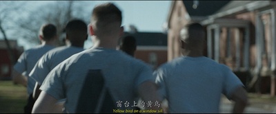 黄鸟剧照的剧照