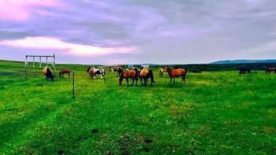 丝路英雄·云镝剧照的剧照
