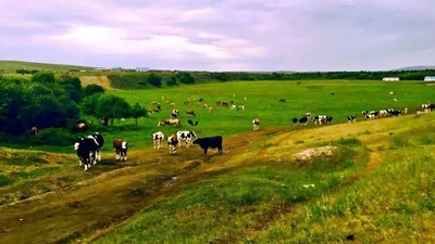 丝路英雄·云镝剧照的剧照