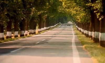 旅行剧照的剧照