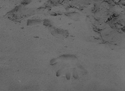 灵魂狂欢节剧照的剧照