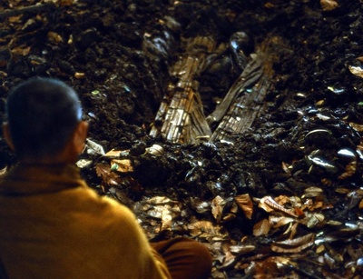 鬼妻剧照的剧照