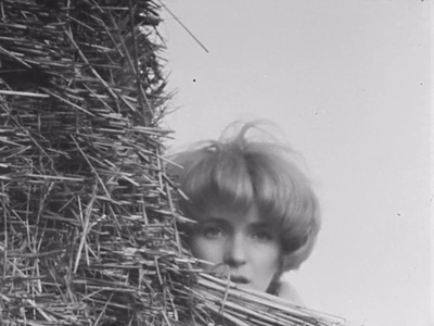 幻想曲剧照的剧照