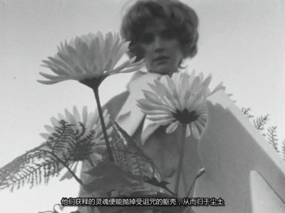 幻想曲剧照的剧照