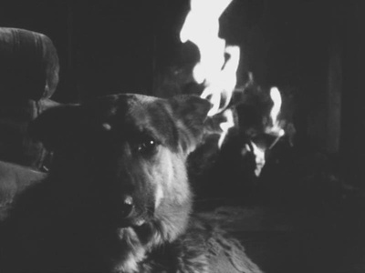 幻想曲剧照的剧照