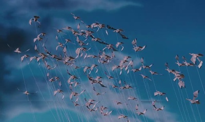 飞天巨桃历险记剧照的剧照