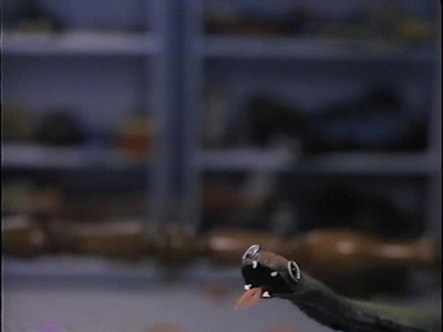 平安夜杀人夜5剧照的剧照