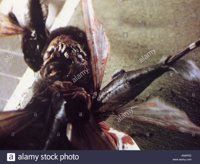 食人鱼2：繁殖剧照的剧照