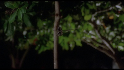 食人鱼2：繁殖剧照的剧照