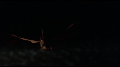 食人鱼2：繁殖剧照的剧照