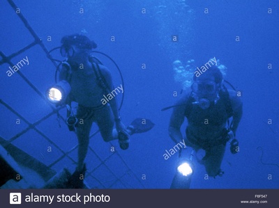 食人鱼2：繁殖剧照的剧照