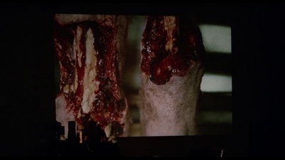 食人鱼2：繁殖剧照的剧照