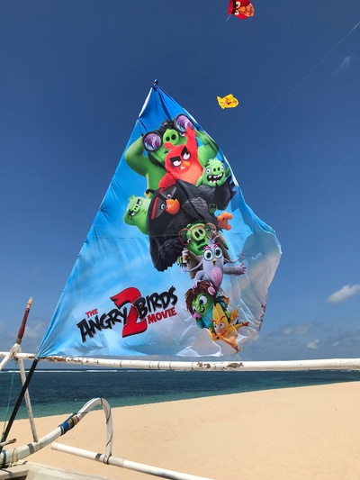 愤怒的小鸟2剧照的剧照