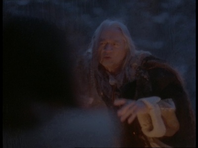 野性的呼唤：育空的狗剧照的剧照