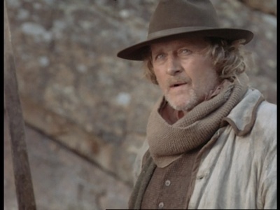 野性的呼唤：育空的狗剧照的剧照