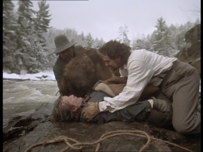 野性的呼唤：育空的狗剧照的剧照