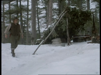 野性的呼唤：育空的狗剧照的剧照